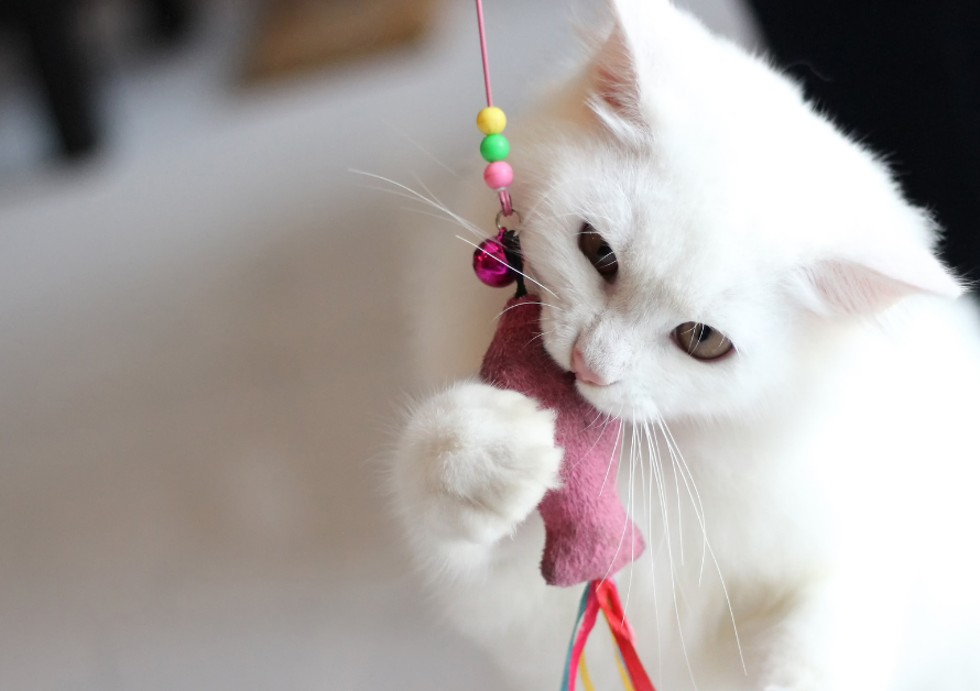 HuPaw Picks