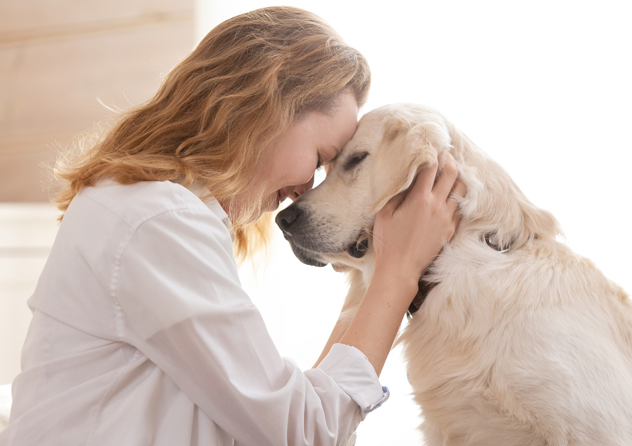 Practical Pet-Parent Guides