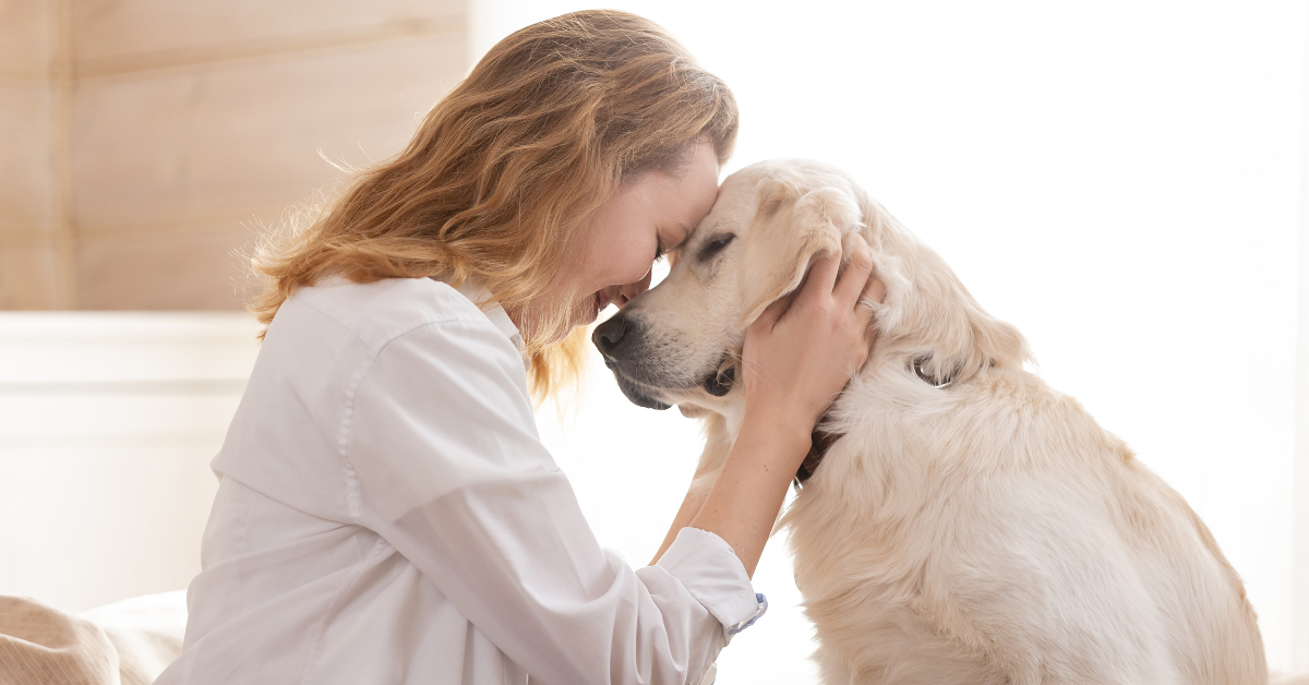Practical Pet-Parent Guides